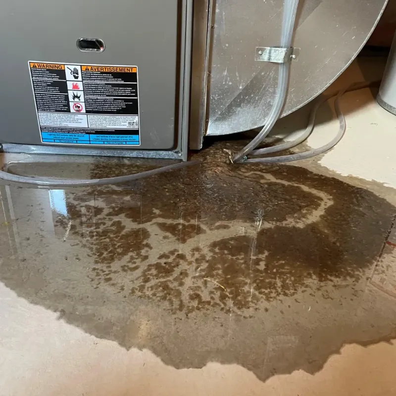 Appliance Leak Cleanup in Garnet, CA